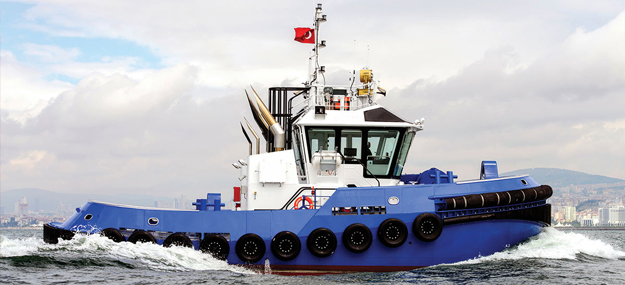 Handling Imdg Cargo